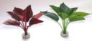 Augalas plastikinis Wild star 28cm